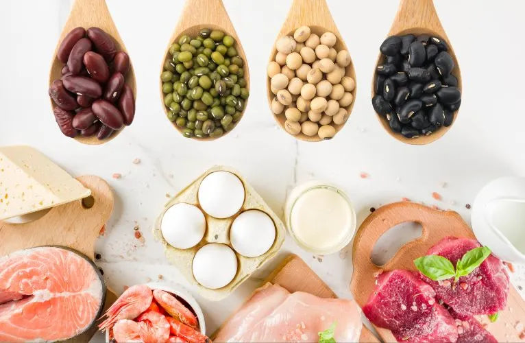 Exploring the sources of Proteins for Every Diet