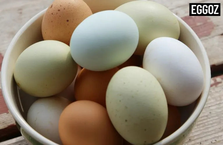 White eggs vs brown eggs: Factors behind the egg shell colour?